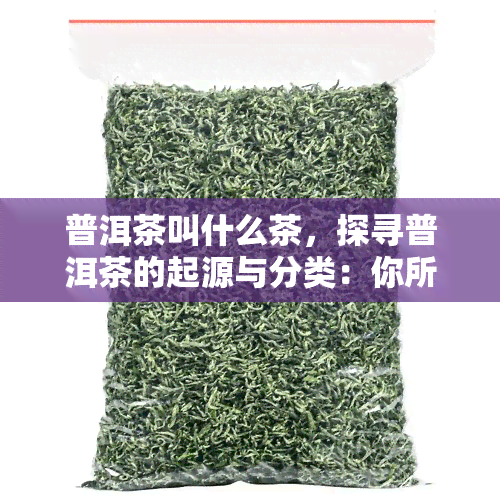 普洱茶叫什么茶，探寻普洱茶的起源与分类：你所不知道的普洱茶知识