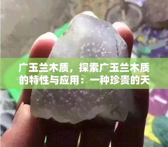 广玉兰木质，探索广玉兰木质的特性与应用：一种珍贵的天然资源