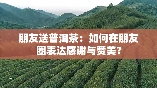 朋友送普洱茶：如何在朋友圈表达感谢与赞美？