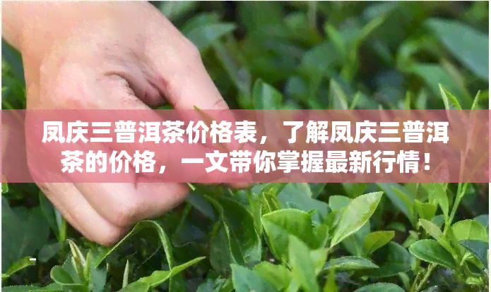 凤庆三普洱茶价格表，了解凤庆三普洱茶的价格，一文带你掌握最新行情！