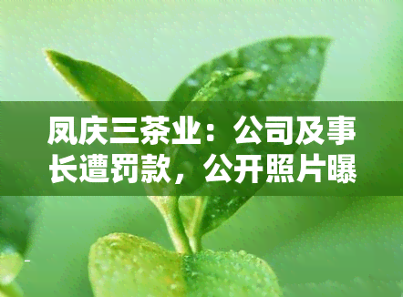 凤庆三茶业：公司及事长遭罚款，公开照片曝光