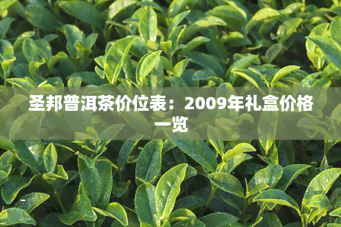 圣邦普洱茶价位表：2009年礼盒价格一览