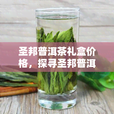 圣邦普洱茶礼盒价格，探寻圣邦普洱茶的优雅之味：礼盒价格全解析