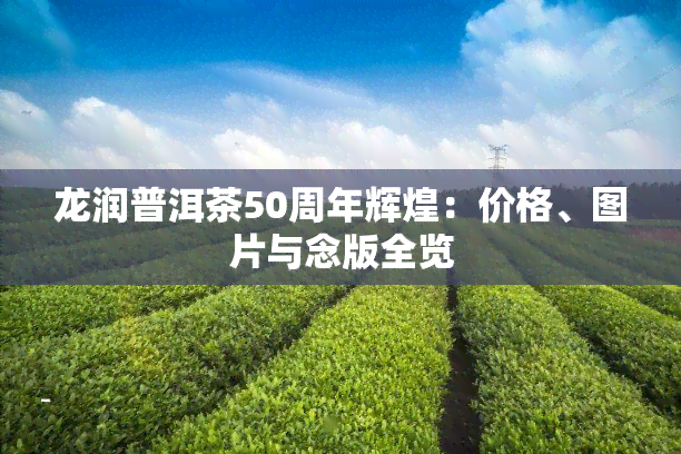 龙润普洱茶50周年辉煌：价格、图片与念版全览