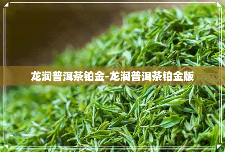 龙润普洱茶铂金-龙润普洱茶铂金版