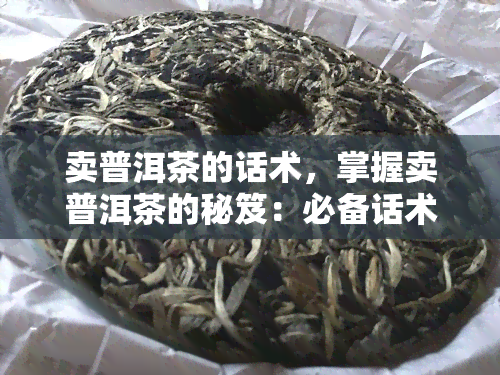 卖普洱茶的话术，掌握卖普洱茶的秘笈：必备话术全解析