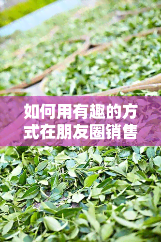 如何用有趣的方式在朋友圈销售普洱茶？看这里！附带搞笑说说、图片和实用句子。