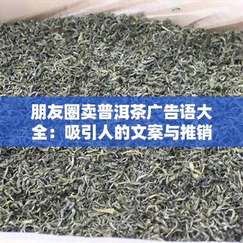 朋友圈卖普洱茶广告语大全：吸引人的文案与推销策略