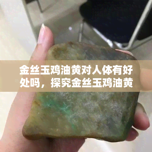 金丝玉鸡油黄对人体有好处吗，探究金丝玉鸡油黄对人体的益处