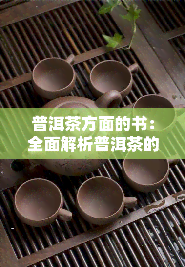 普洱茶方面的书：全面解析普洱茶的专业读物，畅销排行榜上的必读书目，涵普洱茶历、制作工艺、品鉴技巧等方面的知识。