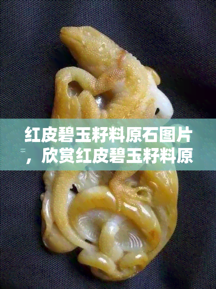 红皮碧玉籽料原石图片，欣赏红皮碧玉籽料原石的美丽图片