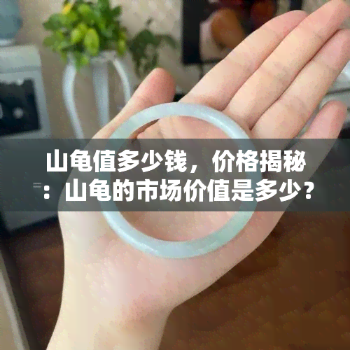 山龟值多少钱，价格揭秘：山龟的市场价值是多少？