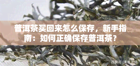 普洱茶买回来怎么保存，新手指南：如何正确保存普洱茶？