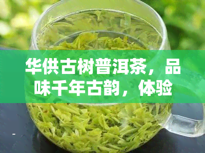 华供古树普洱茶，品味千年古韵，体验华供古树普洱茶的独特魅力