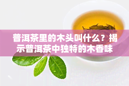 普洱茶里的木头叫什么？揭示普洱茶中独特的木香味来源