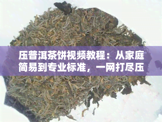 压普洱茶饼视频教程：从家庭简易到专业标准，一网打尽压饼、沏茶全过程及饮用技巧