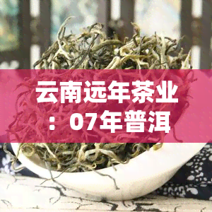 云南远年茶业：07年普洱生茶、七子饼茶等系列产品介绍与评价