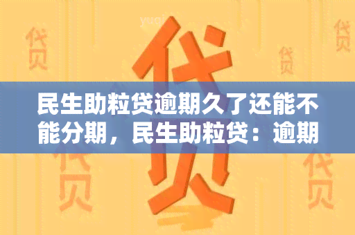 民生助粒贷逾期久了还能不能分期，民生助粒贷：逾期时间长能否申请分期还款？