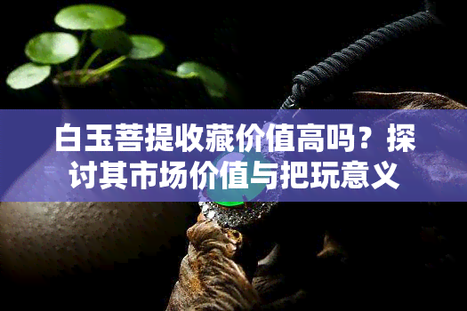 白玉菩提收藏价值高吗？探讨其市场价值与把玩意义