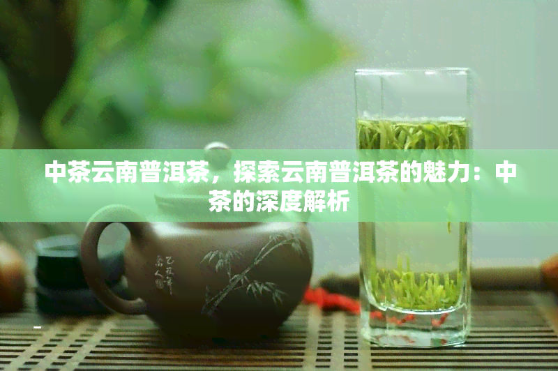 中茶云南普洱茶，探索云南普洱茶的魅力：中茶的深度解析