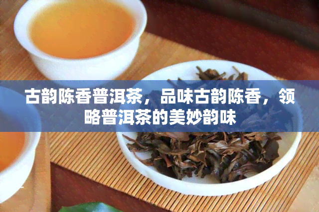 古韵陈香普洱茶，品味古韵陈香，领略普洱茶的美妙韵味