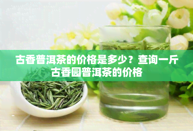 古香普洱茶的价格是多少？查询一斤古香园普洱茶的价格