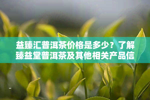 益臻汇普洱茶价格是多少？了解臻益堂普洱茶及其他相关产品信息