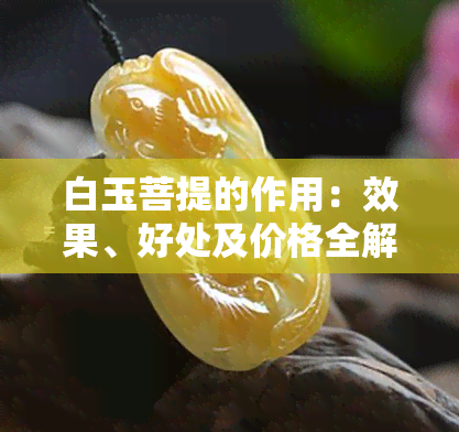 白玉菩提的作用：效果、好处及价格全解析