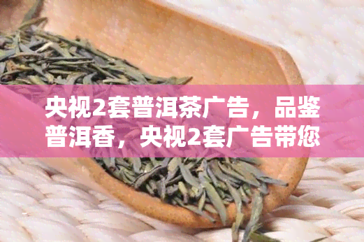 央视2套普洱茶广告，品鉴普洱香，央视2套广告带您走进茶的世界