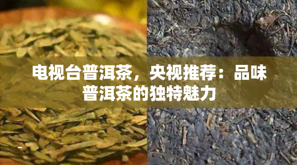 电视台普洱茶，央视推荐：品味普洱茶的独特魅力