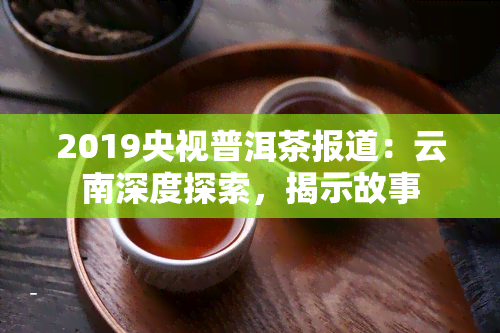 2019央视普洱茶报道：云南深度探索，揭示故事