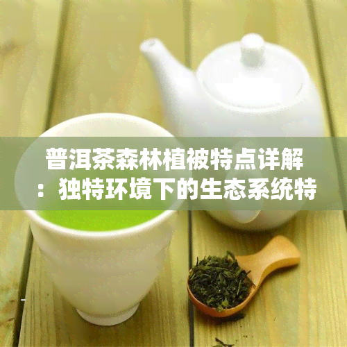 普洱茶森林植被特点详解：独特环境下的生态系统特性