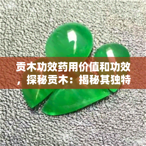 贡木功效用价值和功效，探秘贡木：揭秘其独特的用价值与功效