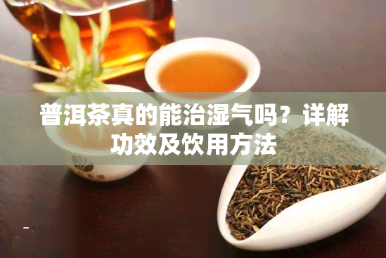 普洱茶真的能治湿气吗？详解功效及饮用方法