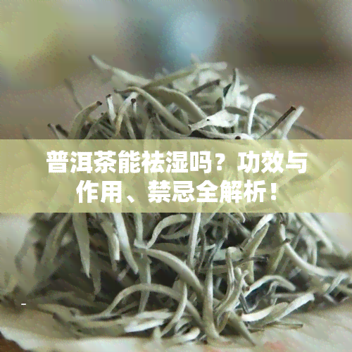 普洱茶能祛湿吗？功效与作用、禁忌全解析！