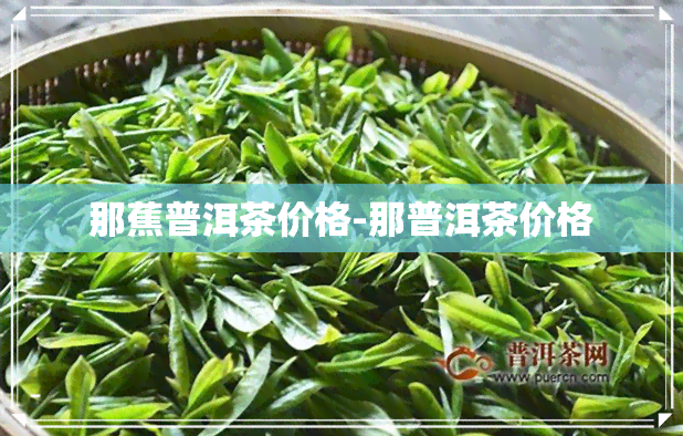 那蕉普洱茶价格-那普洱茶价格