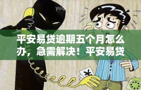 平安易贷逾期五个月怎么办，急需解决！平安易贷逾期五个月，应该采取什么措？