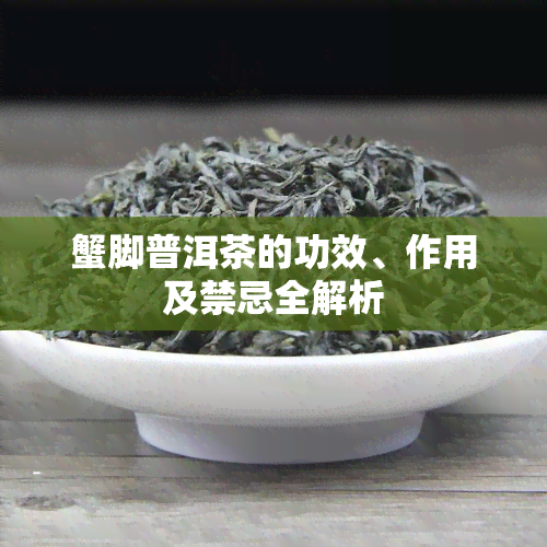 蟹脚普洱茶的功效、作用及禁忌全解析