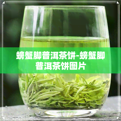 螃蟹脚普洱茶饼-螃蟹脚普洱茶饼图片