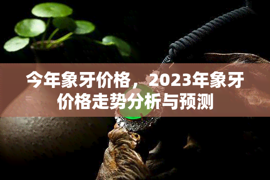 今年象牙价格，2023年象牙价格走势分析与预测