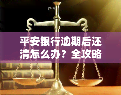 平安银行逾期后还清怎么办？全攻略：如何办理、信用卡处理、恢复正常额度及更新时间