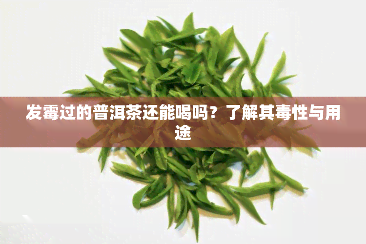 发霉过的普洱茶还能喝吗？了解其性与用途