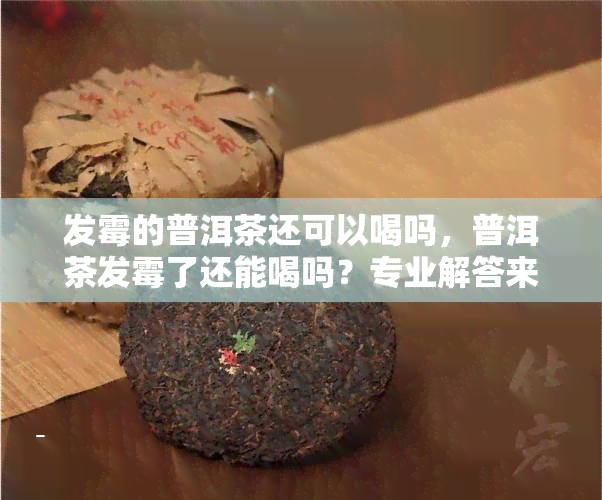 发霉的普洱茶还可以喝吗，普洱茶发霉了还能喝吗？专业解答来了！