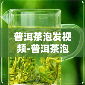 普洱茶泡发视频-普洱茶泡发视频教程