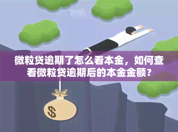 微粒贷逾期了怎么看本金，如何查看微粒贷逾期后的本金金额？