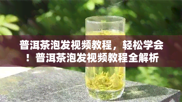 普洱茶泡发视频教程，轻松学会！普洱茶泡发视频教程全解析