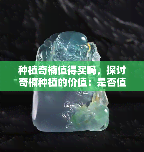 种植奇楠值得买吗，探讨奇楠种植的价值：是否值得购买？