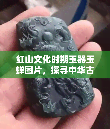 红山文化时期玉器玉蝉图片，探寻中华古代文明：红山文化时期玉器玉蝉的精美图片展示