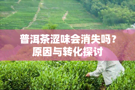 普洱茶涩味会消失吗？原因与转化探讨