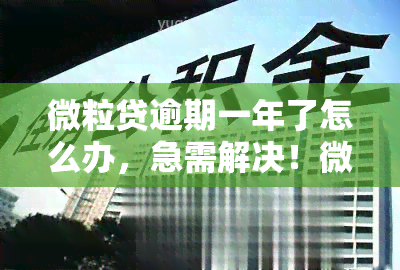 微粒贷逾期一年了怎么办，急需解决！微粒贷逾期一年，应该采取哪些应对措？